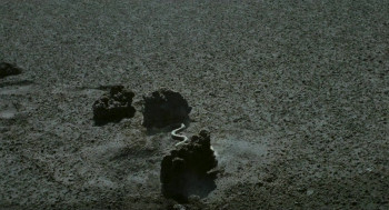 Pigsty (1969) download