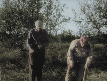 Plan 9 from Outer Space (1958) download