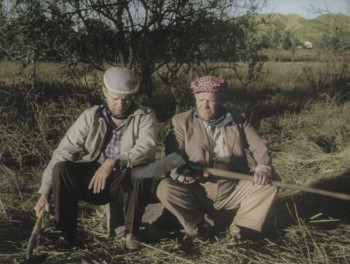 Plan 9 from Outer Space (1958) download