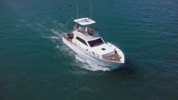 Planet of the Sharks (2016) download