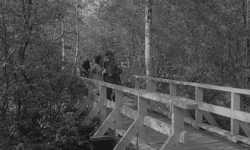 Pojat (1962) download