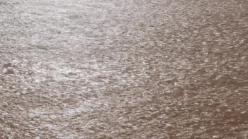 Portugal (2018) download