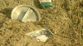 Pride of Lions (2014) download