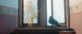 Princess cursed in Time (2020) download