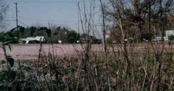 Psycho from Texas (1975) download