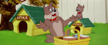 Pup on a Picnic (1955) download