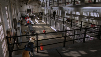 Pup Star: World Tour (2018) download