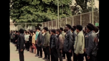 Put the Guns Down: A World Epidemic (2025) download