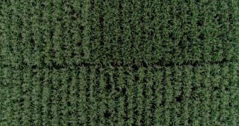 Qorin (2022) download