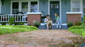 R.A.D.A.R.: The Adventures of the Bionic Dog (2023) download