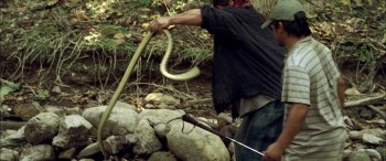 Rambo (2008) download