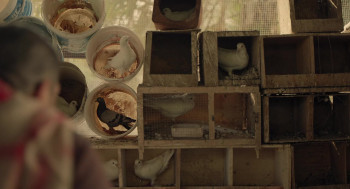 Raven Song (2022) download