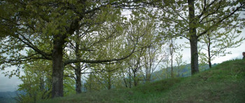 Ravine (2021) download