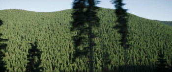 Ravine (2021) download