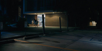 Re-Election (2025) download