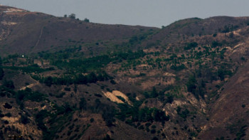 Reaper (2014) download