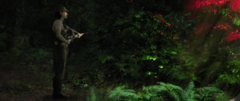 Red Jungle (2022) download