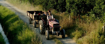 Regardless (2023) download