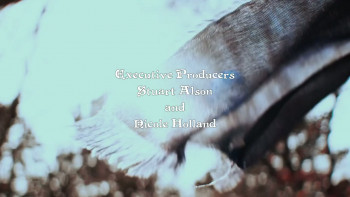 Return of the Salem Witch (2022) download