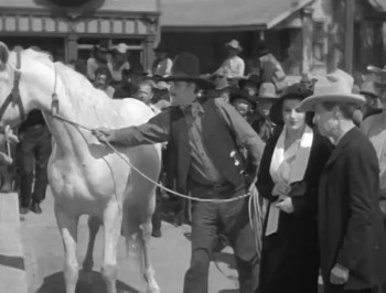 Ride Him, Cowboy (1932) download