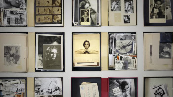 Riefenstahl (2024) download