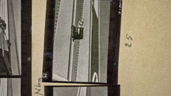 Riefenstahl (2024) download