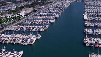 RiffTrax Live: Samurai Cop (2017) download