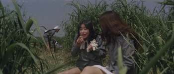 Rika 3: Juvenile's Lullaby (1973) download