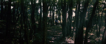 Rika: The Mixed-Blood Girl (1972) download