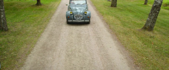 Risto Räppääjä ja pullistelija (2019) download