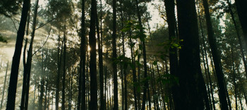 Ritual (2012) download