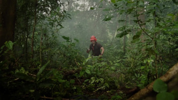 River of Blood (2024) download