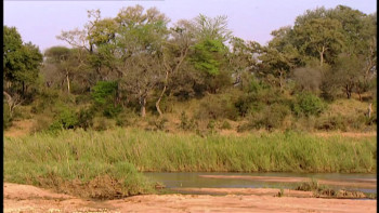 Rivers of Danger (2004) download