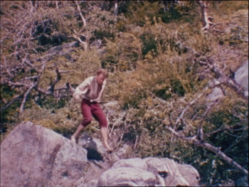 Robinson Crusoe (1954) download