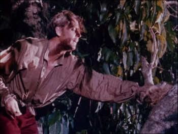 Robinson Crusoe (1954) download