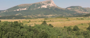 Safari (2022) download