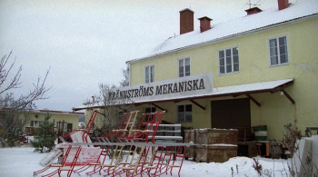 Sällskapsresan II - Snowroller (1985) download