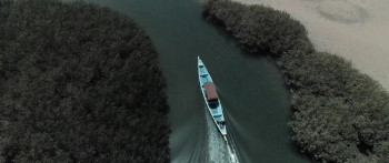 Saloum (2021) download