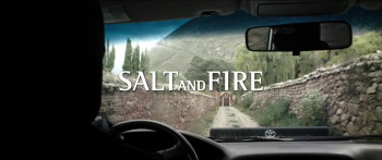 Salt and Fire (2016) download