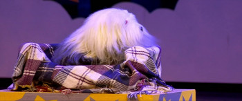 Samson en Gert Kerstshow 2013: Op reis naar het IJspaleis (2013) download