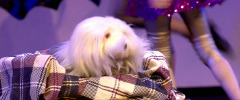 Samson en Gert Kerstshow 2013: Op reis naar het IJspaleis (2013) download