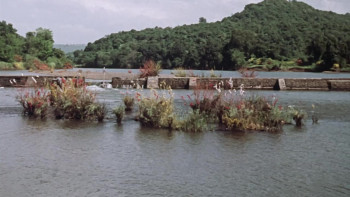 Sangam (1964) download