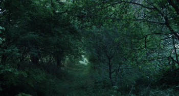 Saptamana Mare (2024) download