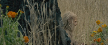 Sasquatch Sunset (2024) download