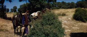 Savage Pampas (1966) download