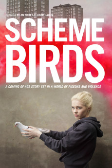 Scheme Birds (2019) download
