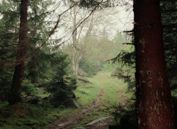 Schneeweißchen und Rosenrot (1979) download