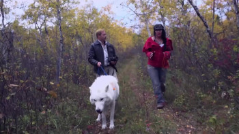 Searching for Sasquatch 15: Chasing Legends Through Oregon's Inferno (2025) download