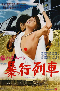 Secret Honeymoon: Rape Train (1977) download