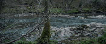 Seize Them! (2024) download